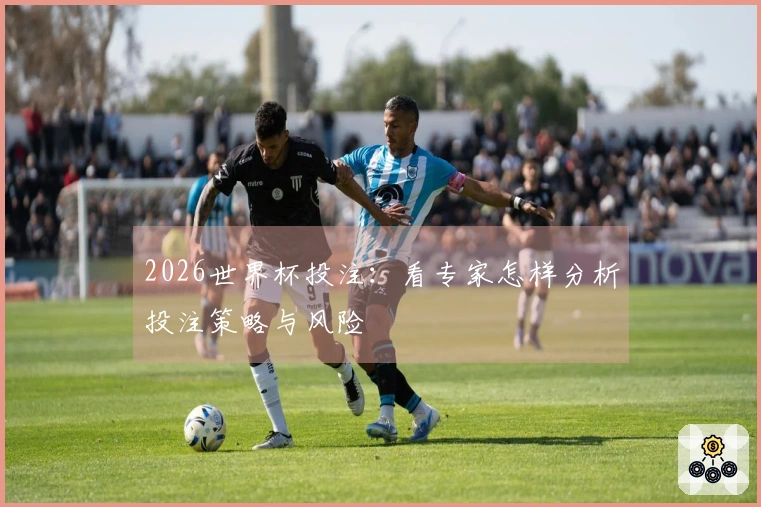 2026世界杯投注：看专家怎样分析投注策略与风险