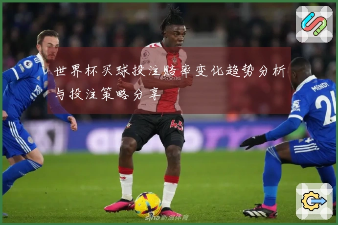 世界杯买球投注赔率变化趋势分析与投注策略分享