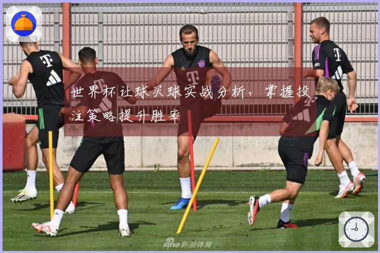 世界杯让球买球实战分析，掌握投注策略提升胜率