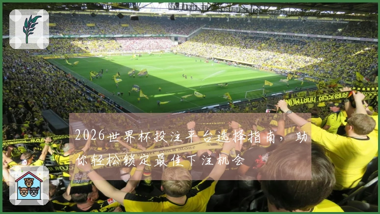 2026世界杯投注平台选择指南，助你轻松锁定最佳下注机会