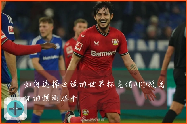 如何选择合适的世界杯竞猜App提高你的预测水平