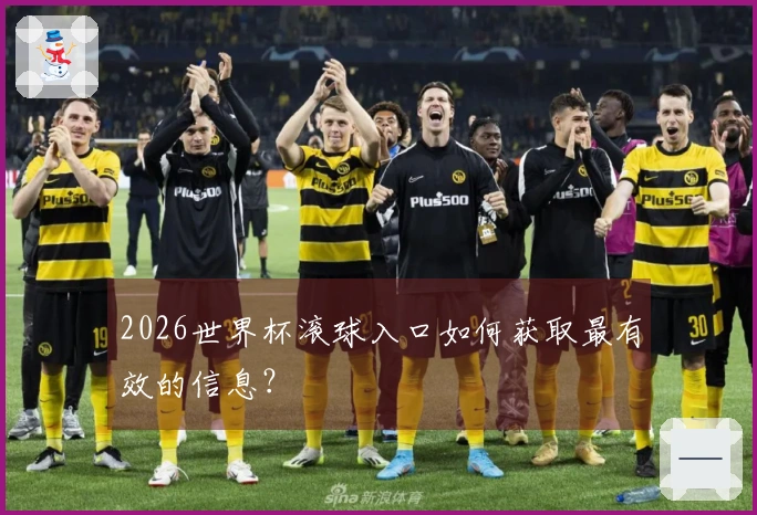 2026世界杯滚球入口如何获取最有效的信息？