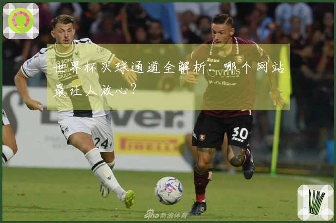 世界杯买球通道全解析：哪个网站最让人放心？