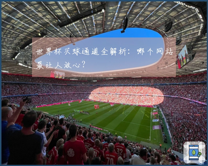 世界杯买球通道全解析：哪个网站最让人放心？