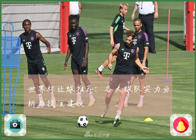 世界杯让球推荐：各大球队实力分析与投注建议