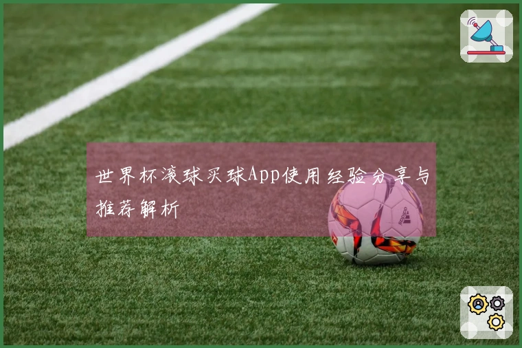 世界杯滚球买球App使用经验分享与推荐解析