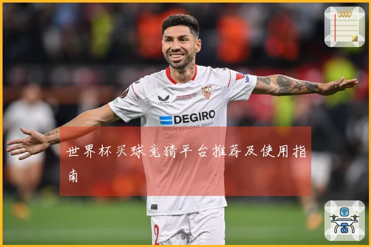 世界杯买球竞猜平台推荐及使用指南
