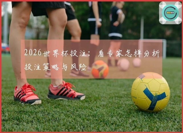 2026世界杯投注：看专家怎样分析投注策略与风险