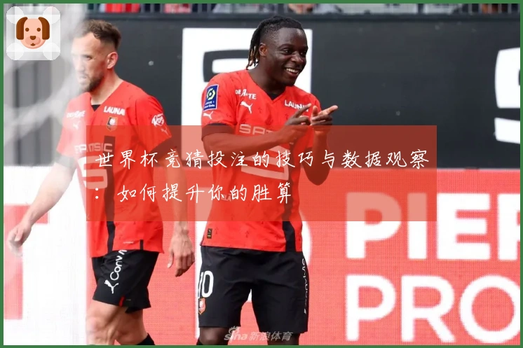世界杯竞猜投注的技巧与数据观察：如何提升你的胜算