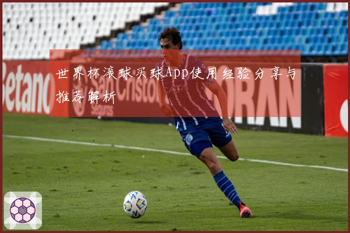 世界杯滚球买球App使用经验分享与推荐解析