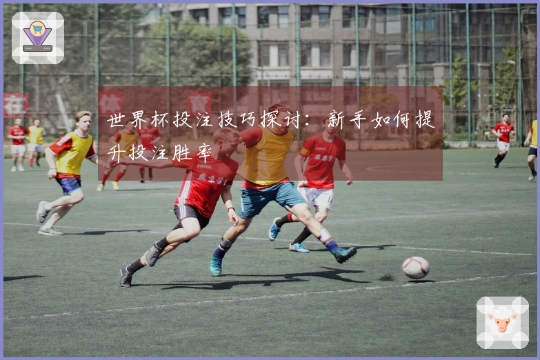 世界杯投注技巧探讨：新手如何提升投注胜率