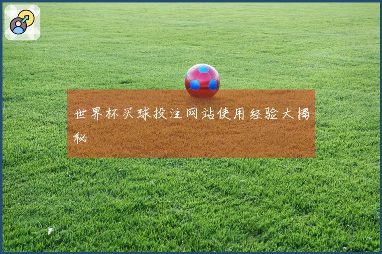 世界杯买球投注网站使用经验大揭秘