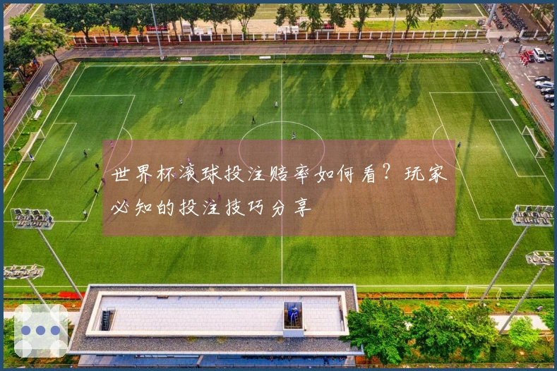 世界杯滚球投注赔率如何看？玩家必知的投注技巧分享